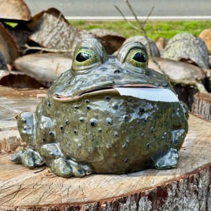 Funny Toad Tissue Holder