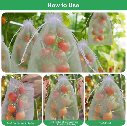 🔥Fruit Protection Bags