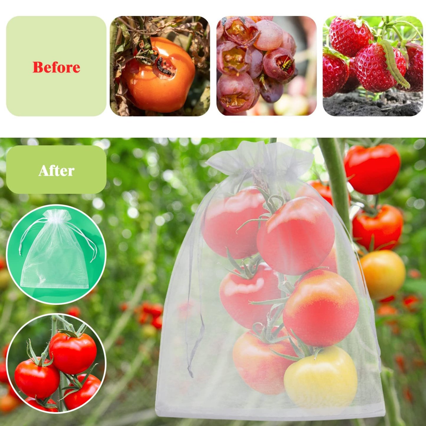 🔥Fruit Protection Bags