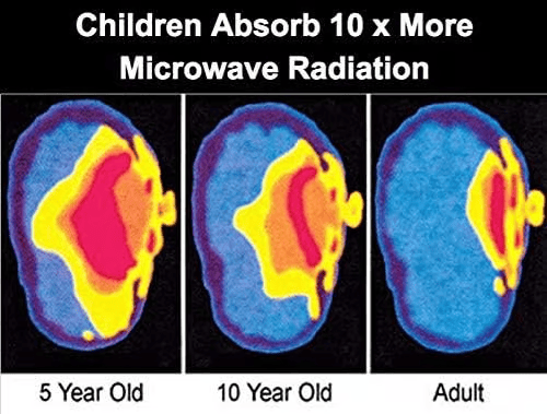 Last Day- 49%OFF🛡️EMF Protection Anti-Radiation Quantum Shield 🛡️