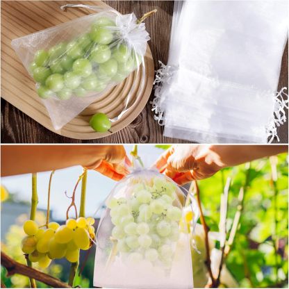 🔥Fruit Protection Bags