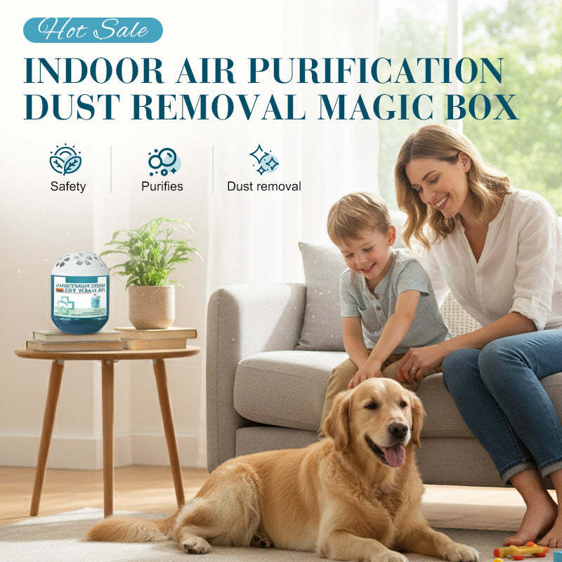 🔥2026 New Collection - Limited-Time Pre-Sale⏰Indoor Air Purification 