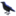 🐦⬛