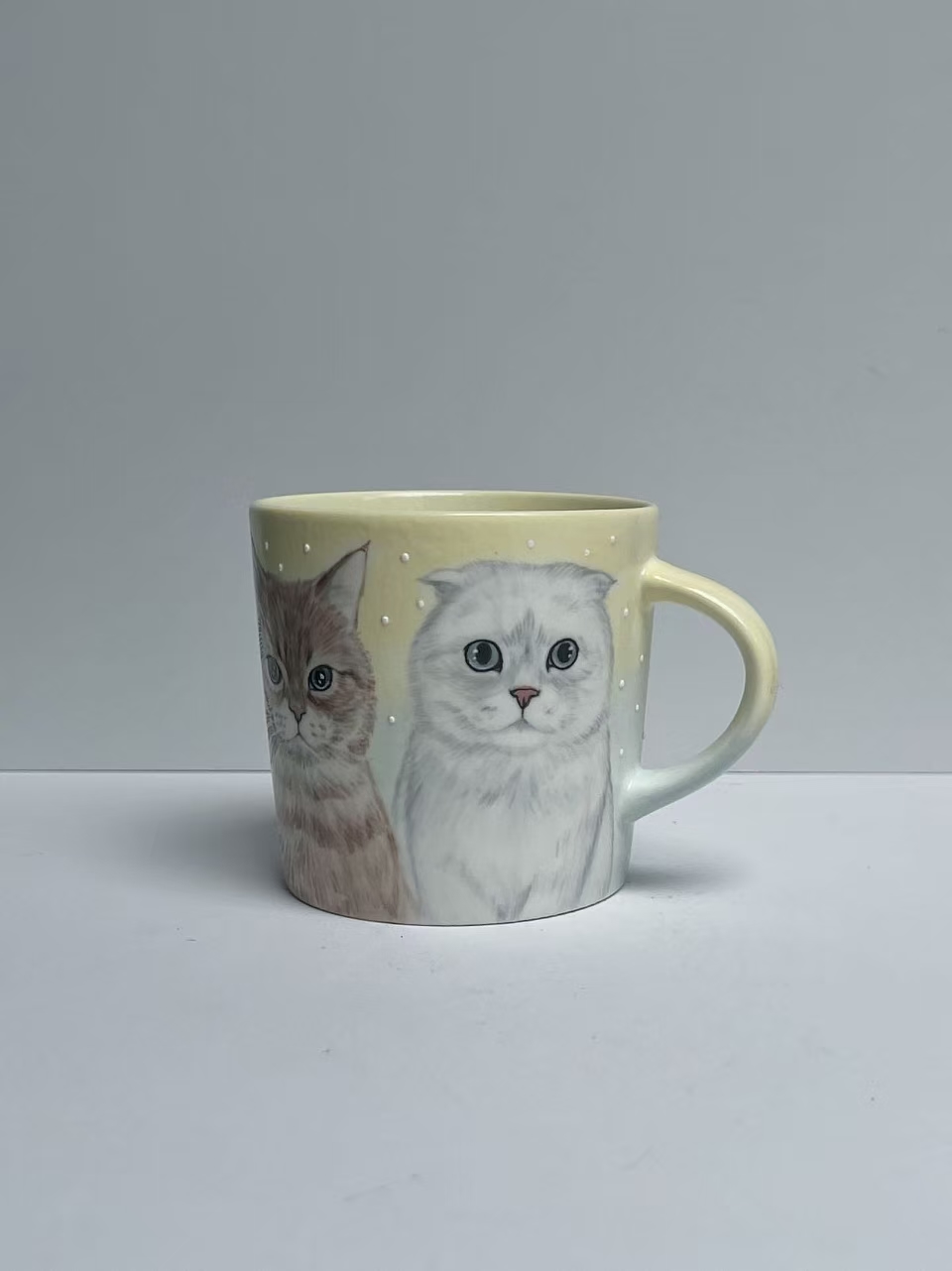 Personalized Hand-Painted Ceramic Pet Cup