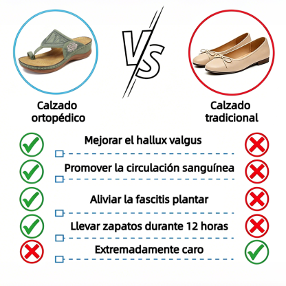 🔥 Sandalias de verano bordadas de estilo retro | Soporte ergonómico para el arco — Camina todo el día sin fatiga | Antideslizantes y transpirables ✅