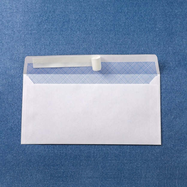 241x105mm Windowless White Envelope