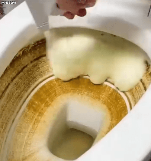 Honeycam 2026-01-22 10-27-35.gif