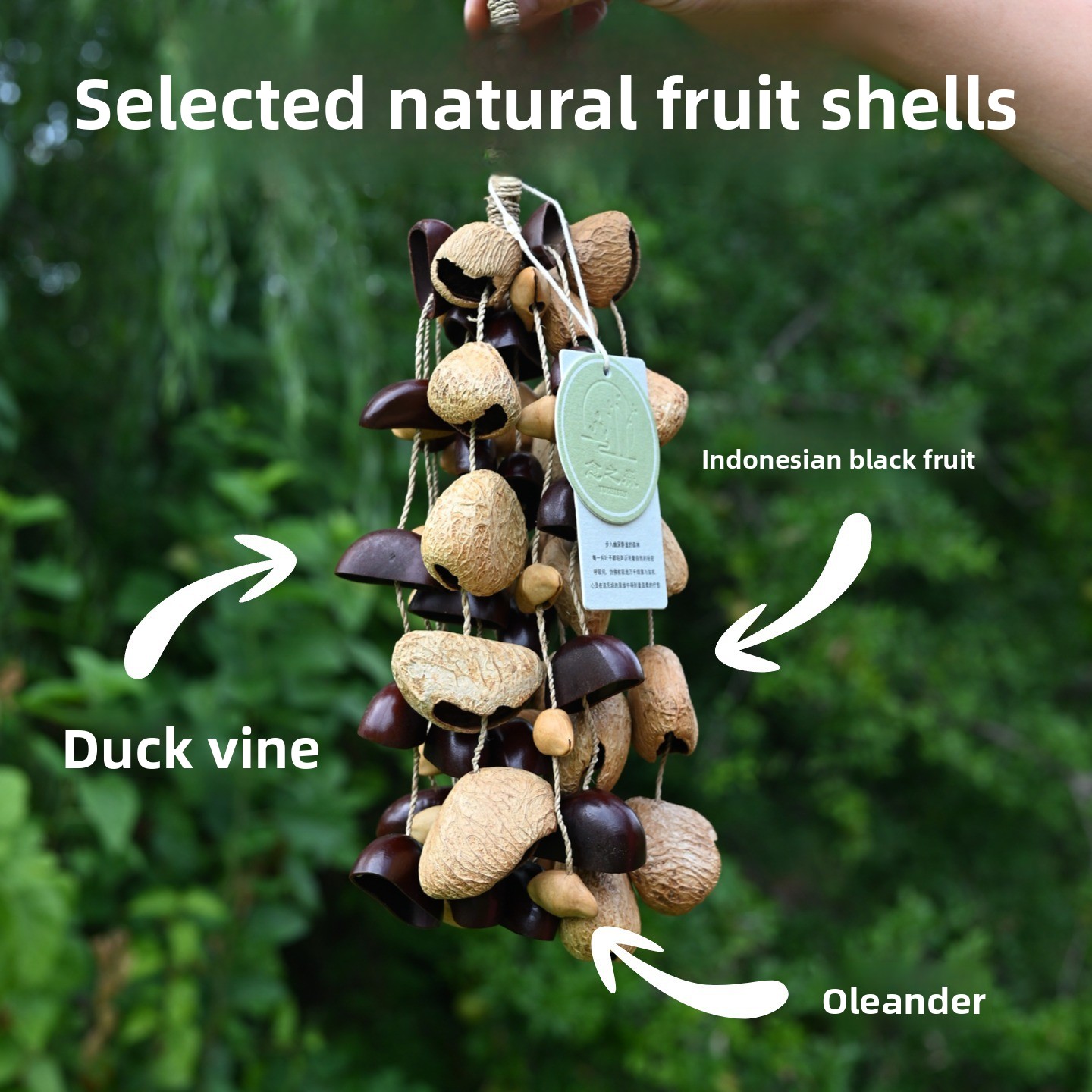 Natural Fruit Shell Wind Handbell