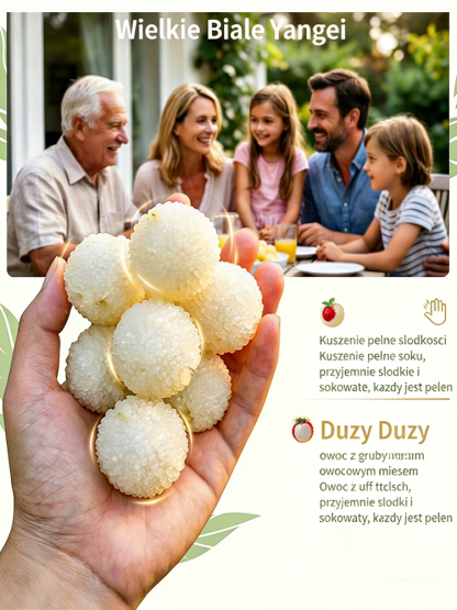 Nasiona wysokoplennej, odpornej na mróz i suszę białej jagody kryształowej