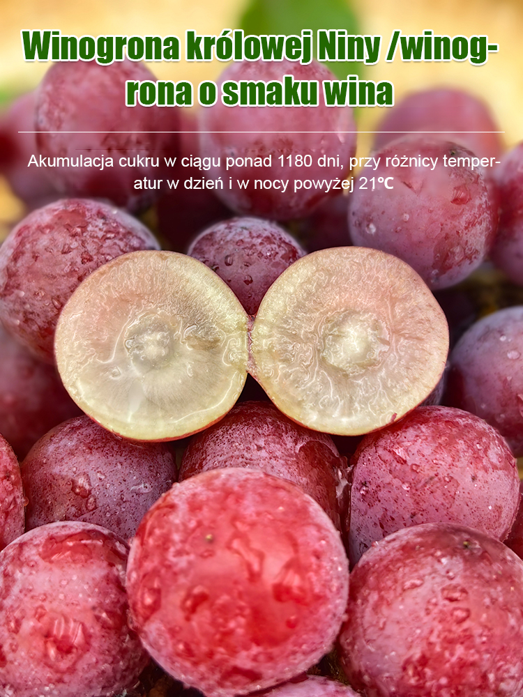Ziarna winogron królowej Niny z naturalnym aromatem wina🌟 Łatwa w uprawie, daje trzy obfite plony rocznie. 🍇