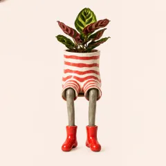 🔥🎁🌸Creative furniture flower pot
