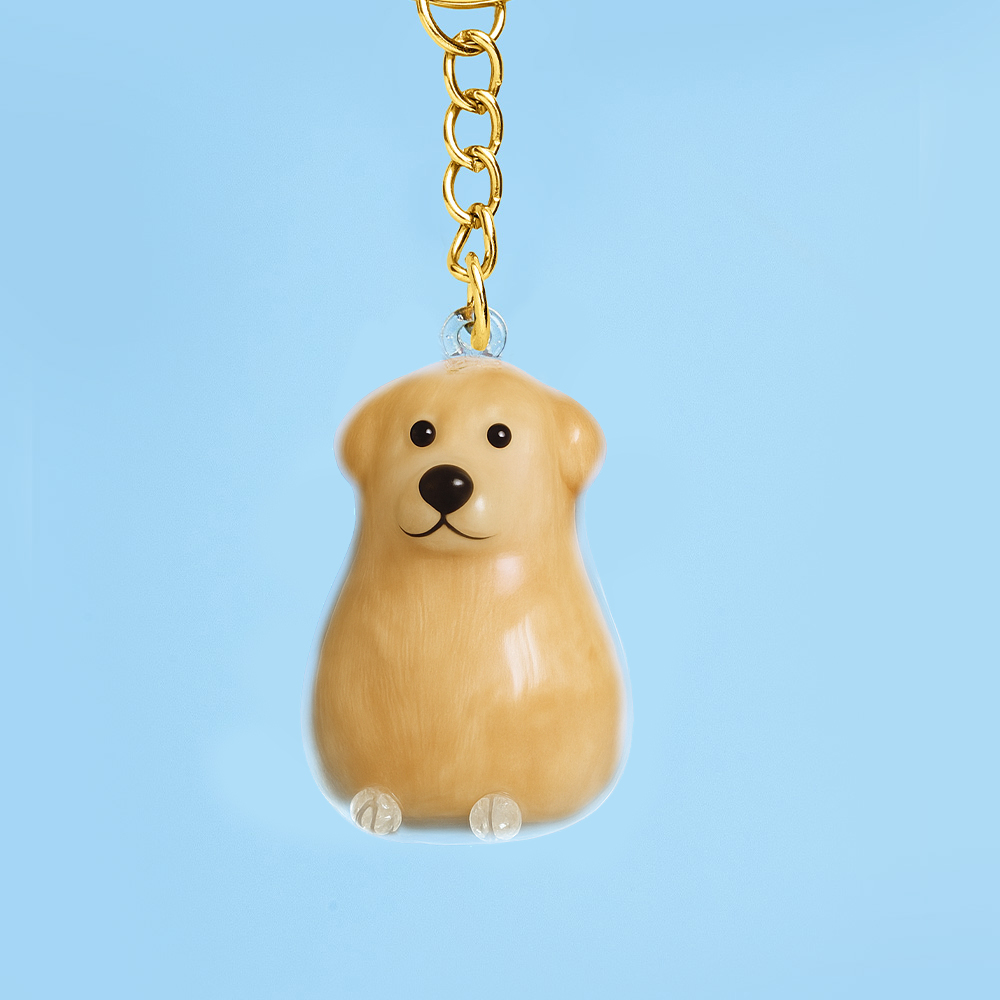 Dog Hair Collector Keychain Bag Charm Memorial Storage Box without Text Sentimental Perfect for Storing Pet Hair Gift for Dog Lovers