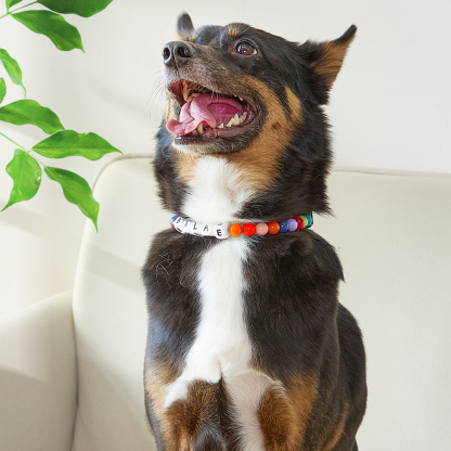 Custom Name Colorful Pet Beaded Collars – Personalized Gift for Pet Lovers Perfect for International Dog Day