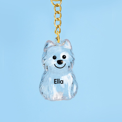 Custom Name Dog Hair Collector Keychain Bag Charm Memorial Storage Box with Text Perfect for Storing Pet Hair Gift for Dog Lovers