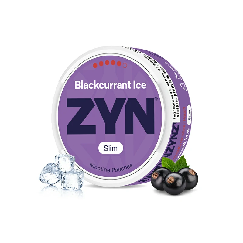 European ZYN Pouches with 10 Flavors - New 2025 Edition