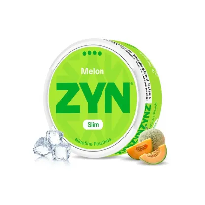 European ZYN Pouches with 10 Flavors - New 2025 Edition