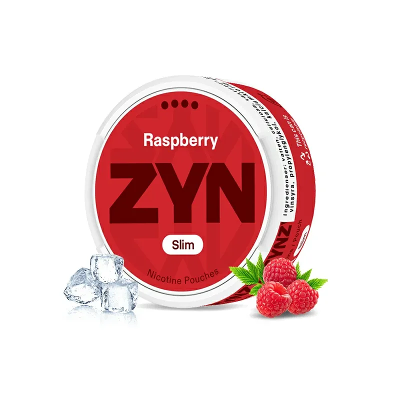 European ZYN Pouches with 10 Flavors - New 2025 Edition