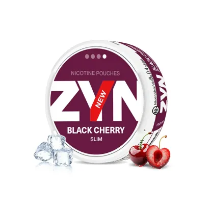 Popular EU Swedish ZYN Pouches with 20 More than Flavors