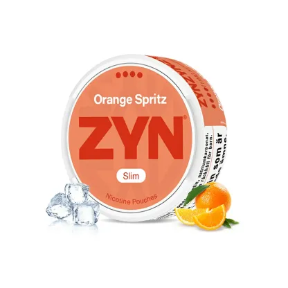 European ZYN Pouches with 10 Flavors - New 2025 Edition