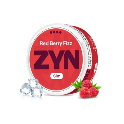 European ZYN Pouches with 10 Flavors - New 2025 Edition
