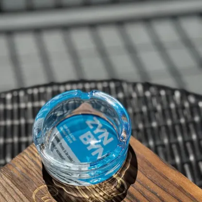 Official Lip Pillow Dumpster - The Perfect Gift for Him or Her to Cleanup in Style!-Snustore