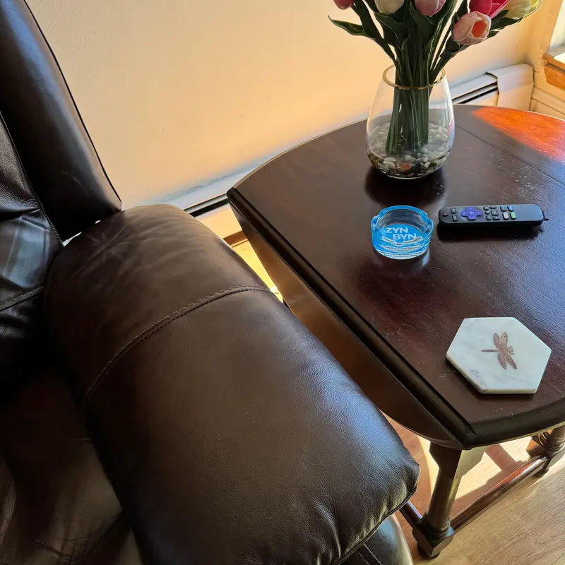 Official Lip Pillow Dumpster - The Perfect Gift for Him or Her to Cleanup in Style!-Snustore