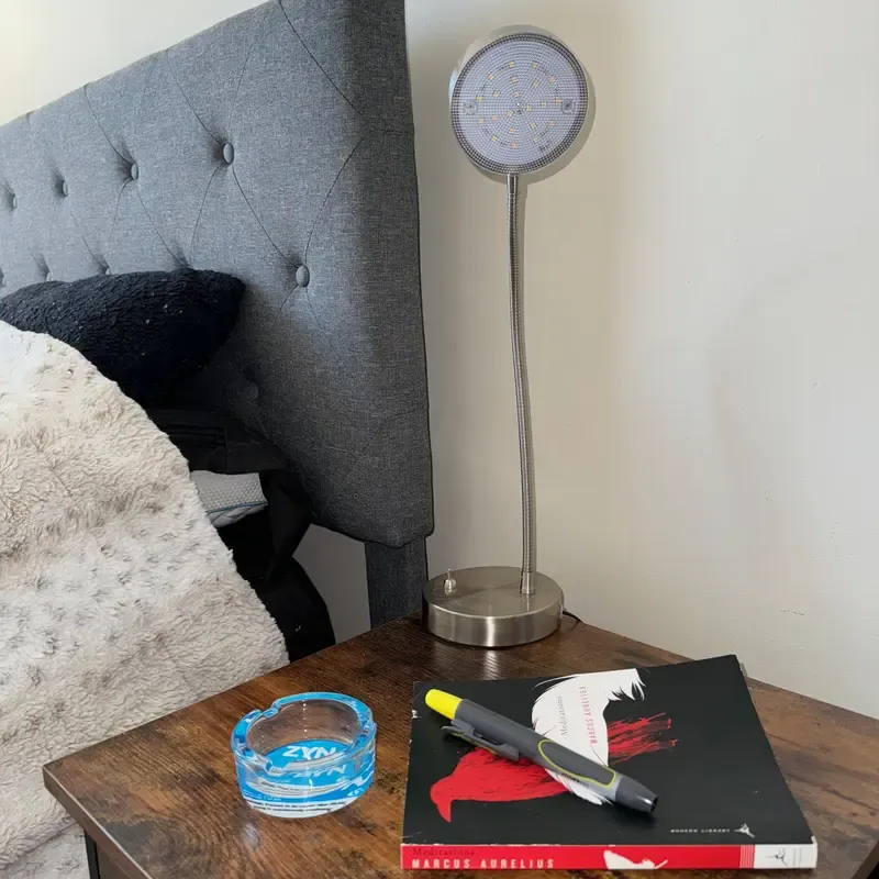 Official Lip Pillow Dumpster - The Perfect Gift for Him or Her to Cleanup in Style!-Snustore