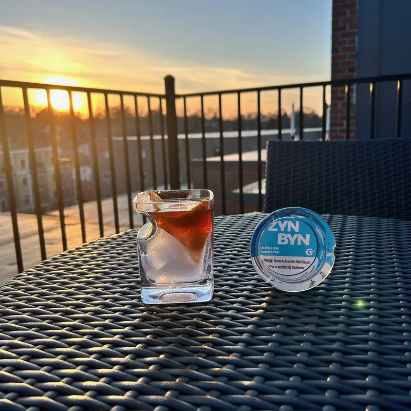 Official Lip Pillow Dumpster - The Perfect Gift for Him or Her to Cleanup in Style!-Snustore