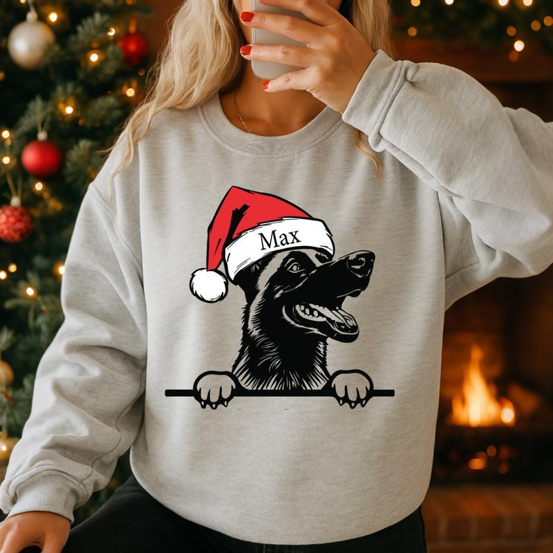 Custom Santa Hat Dogs Sweatshirt