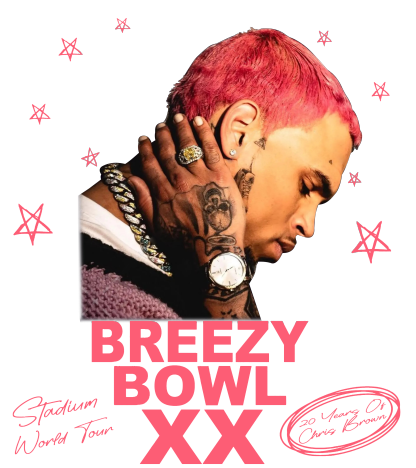 Breezy Bowl XX Tour Vintage Graphic Tee