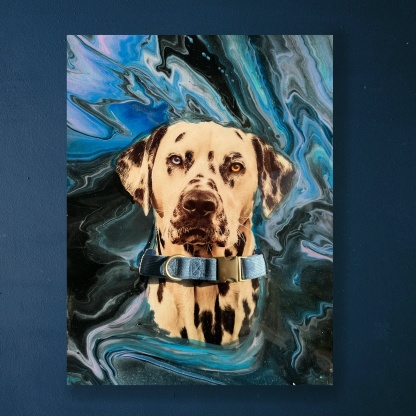 Collar Display Canvas