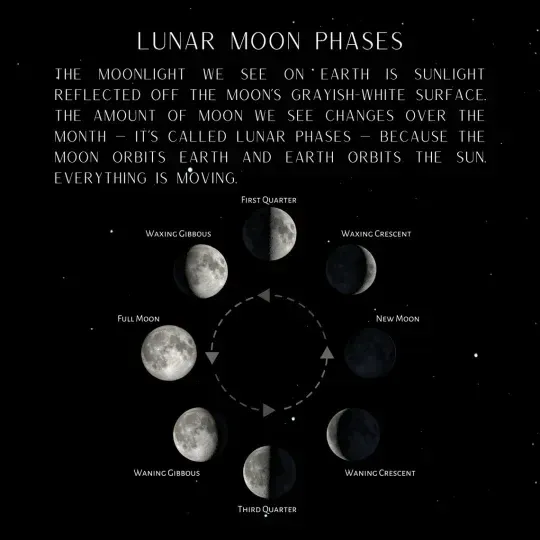 Custom Art Real Moon Phase