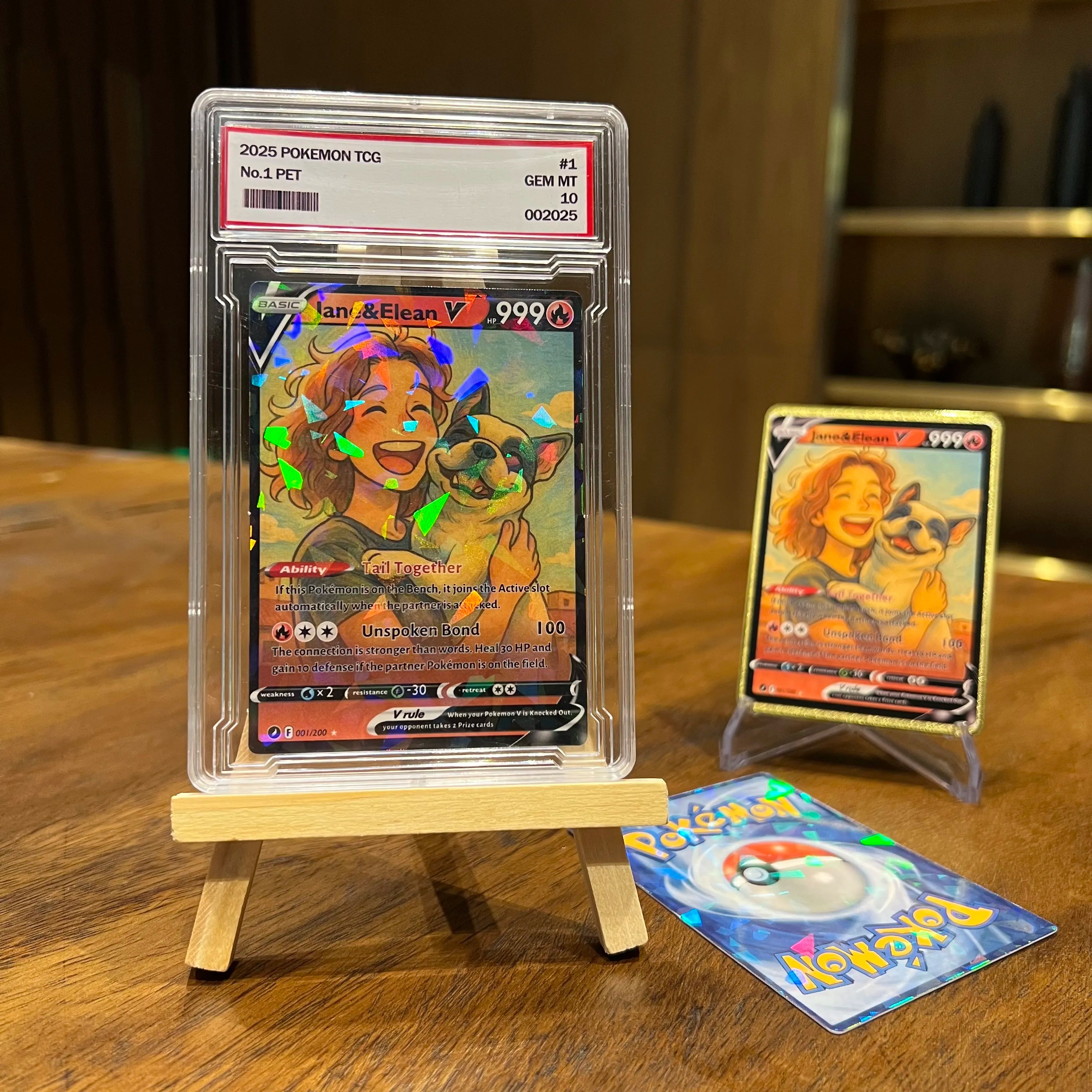 Custom Anime Pet & You Team V Card Pokecard For Pet Lovers
