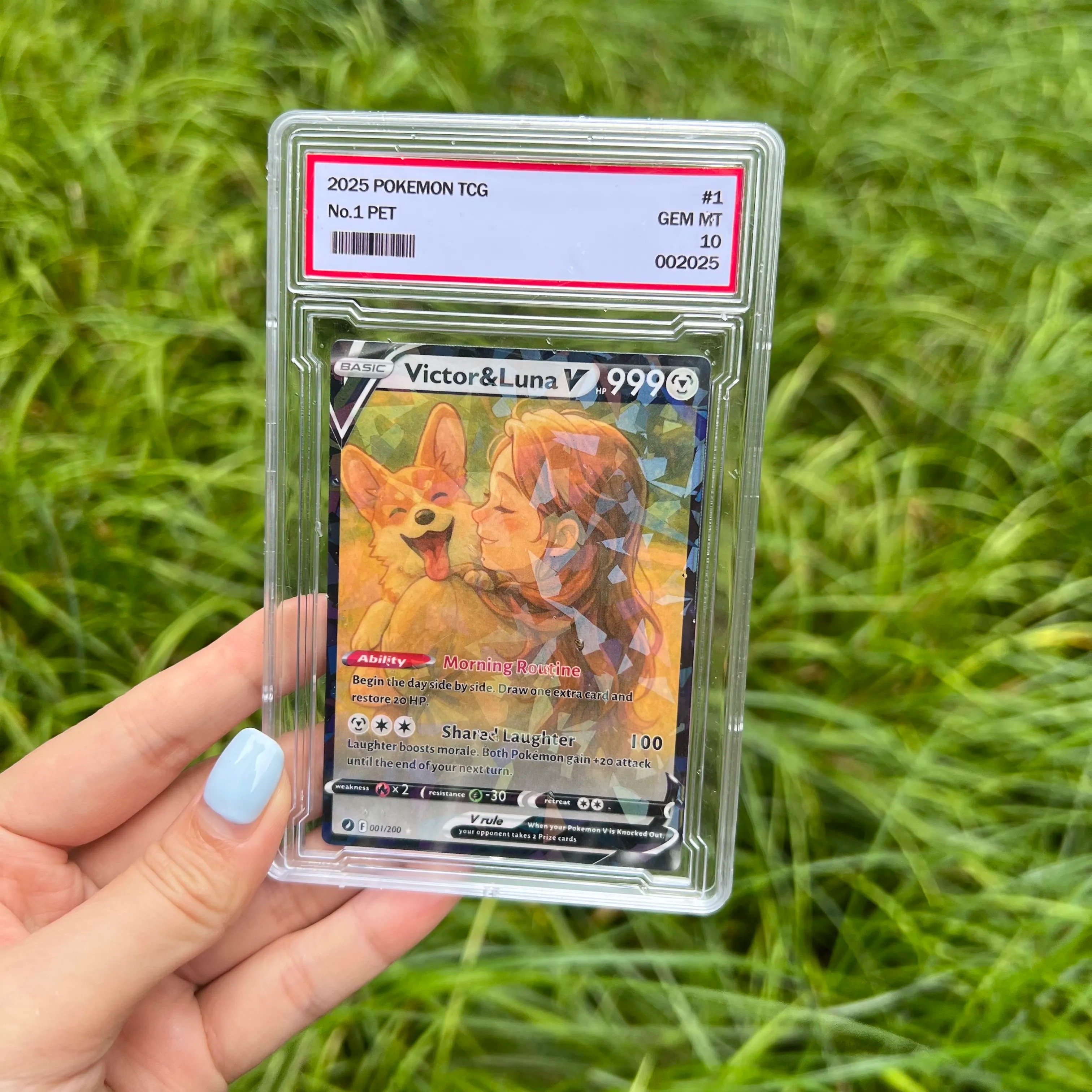 Custom Anime Pet & You Team V Card Pokecard For Pet Lovers