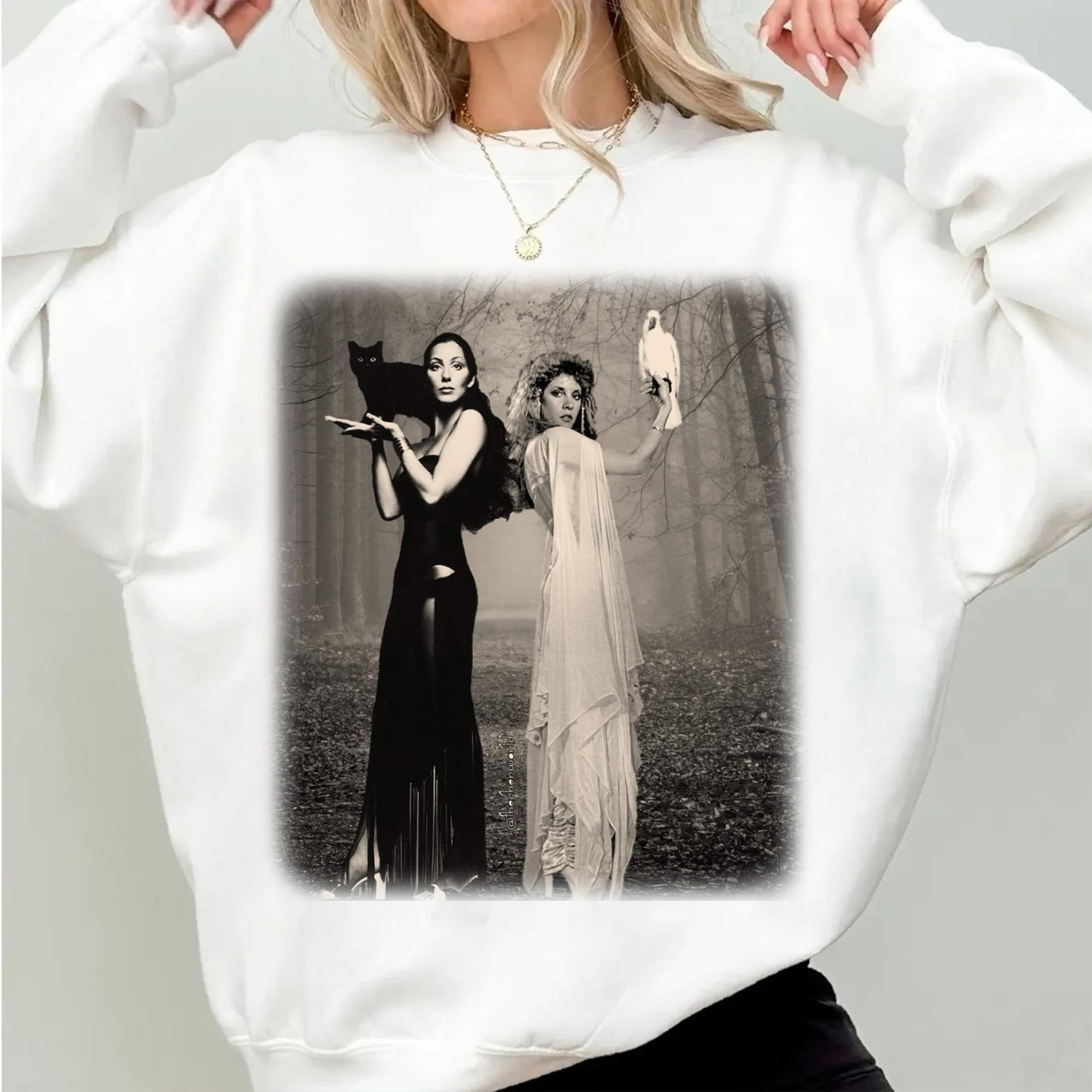 Vintage Cher & Stevie Nicks Graphic Sweatshirt