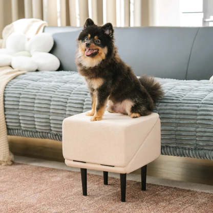 2-in-1 Convertible Wooden Home Step Stool Dog Ramp Stairs