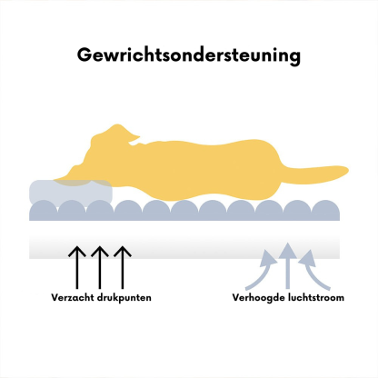 Groot wasbaar zacht orthopedisch hondenkussen Hondensofa-Snoozy Dream