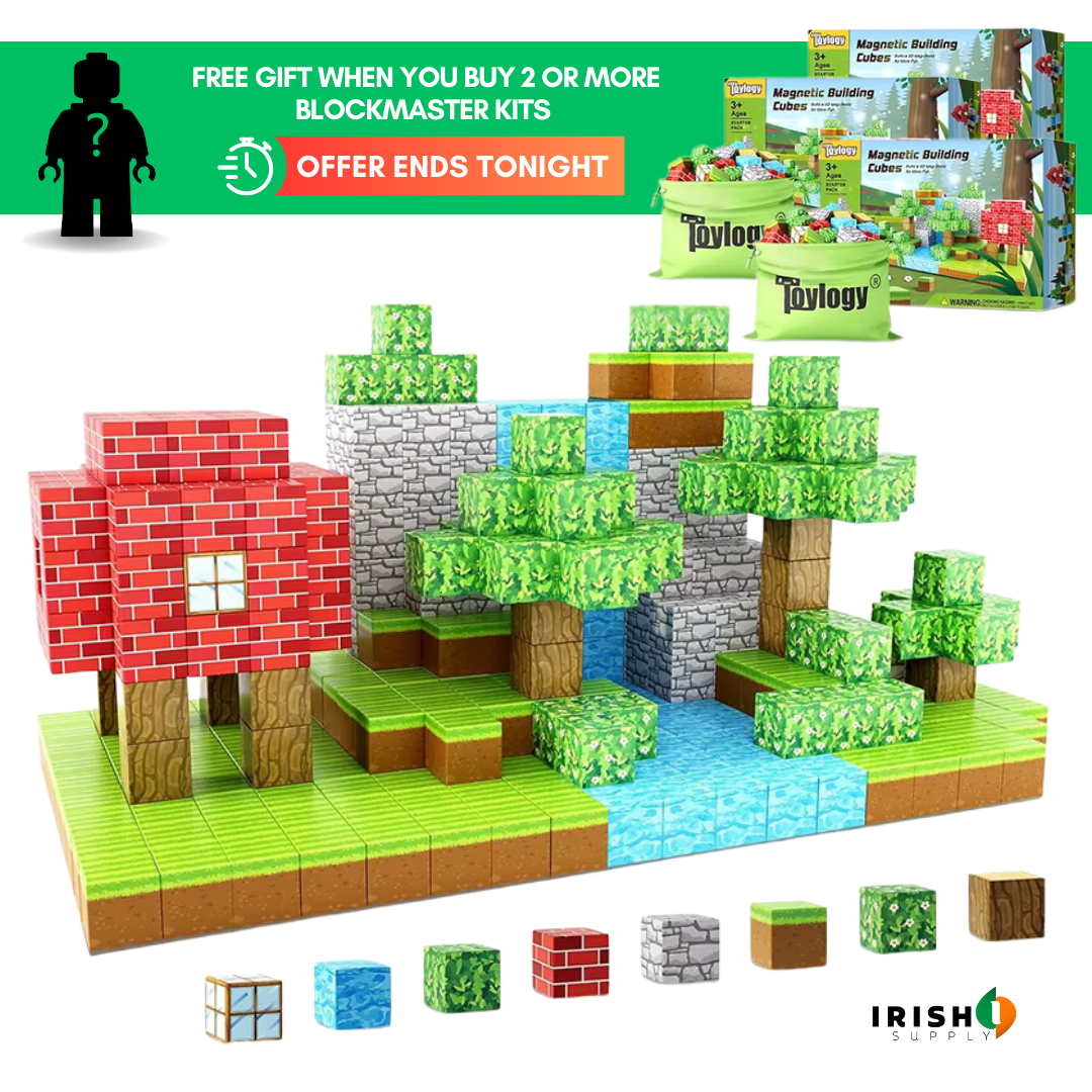 BLOCKMASTER Magnetic Building Block Set (100pcs)