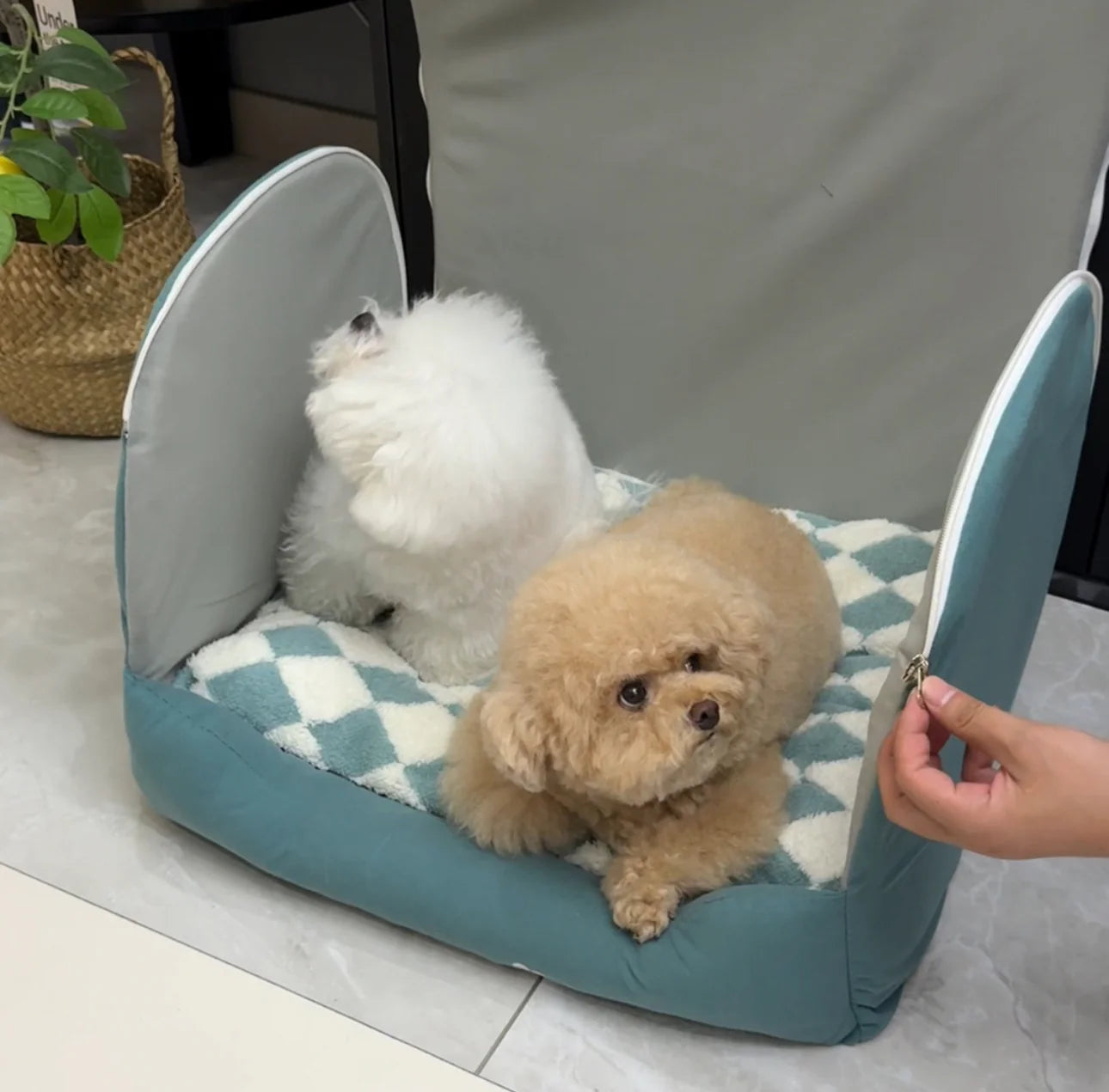 Luxury Cozy Dog House - Soft Indoor Pet Cave Bed with Removable Cushion-北京欧布科技有限公司