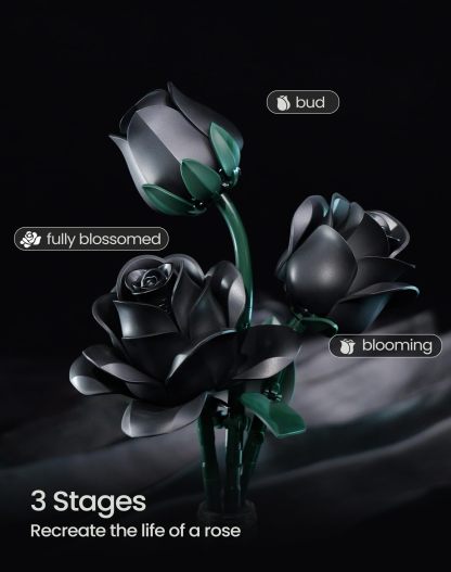 Gothic Black Rose Bouquet Building Set – 12 Never-Wilting Roses