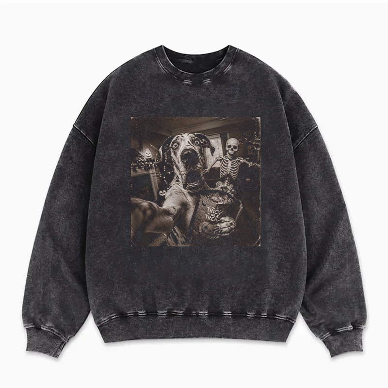 Scary Skeleton Halloween Great Dane Dog Sweatshirt