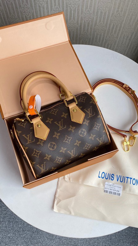 Louis speedy bag 20cm