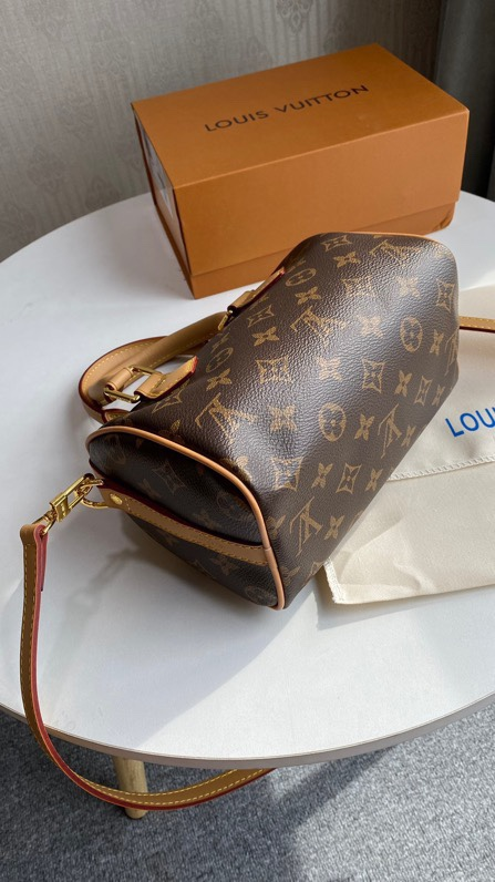 Louis speedy bag 20cm
