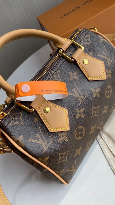 Louis speedy bag 20cm