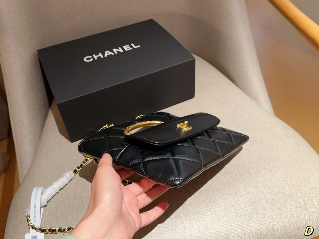 cc-new-arrivl-24b-bag-size-25-20-cm-684