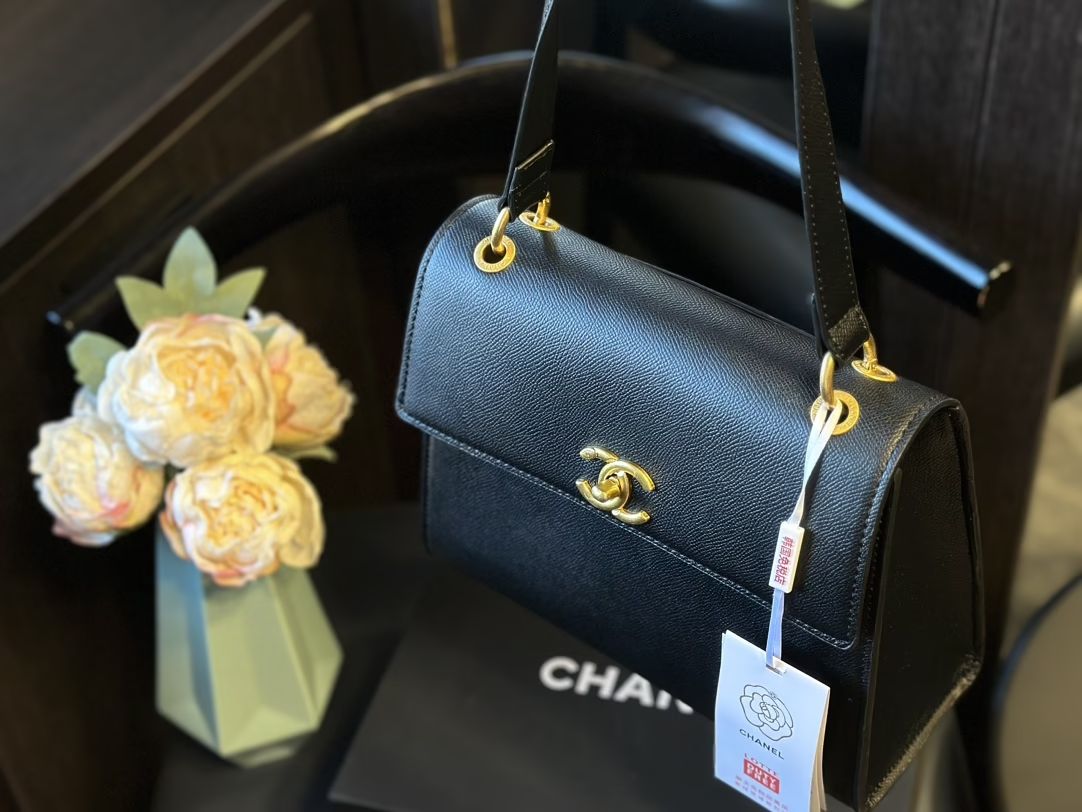 cc-new-arrival-24ss-bag-size-25-cm-4123