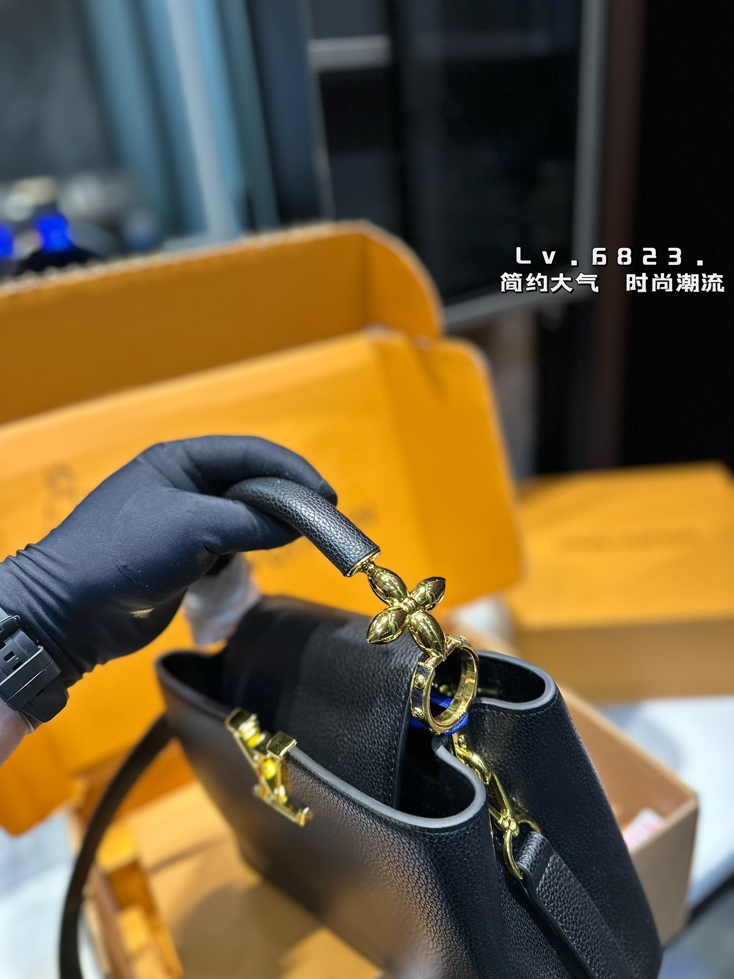 louis-new-arrival-capucines-monogram-bag-7074