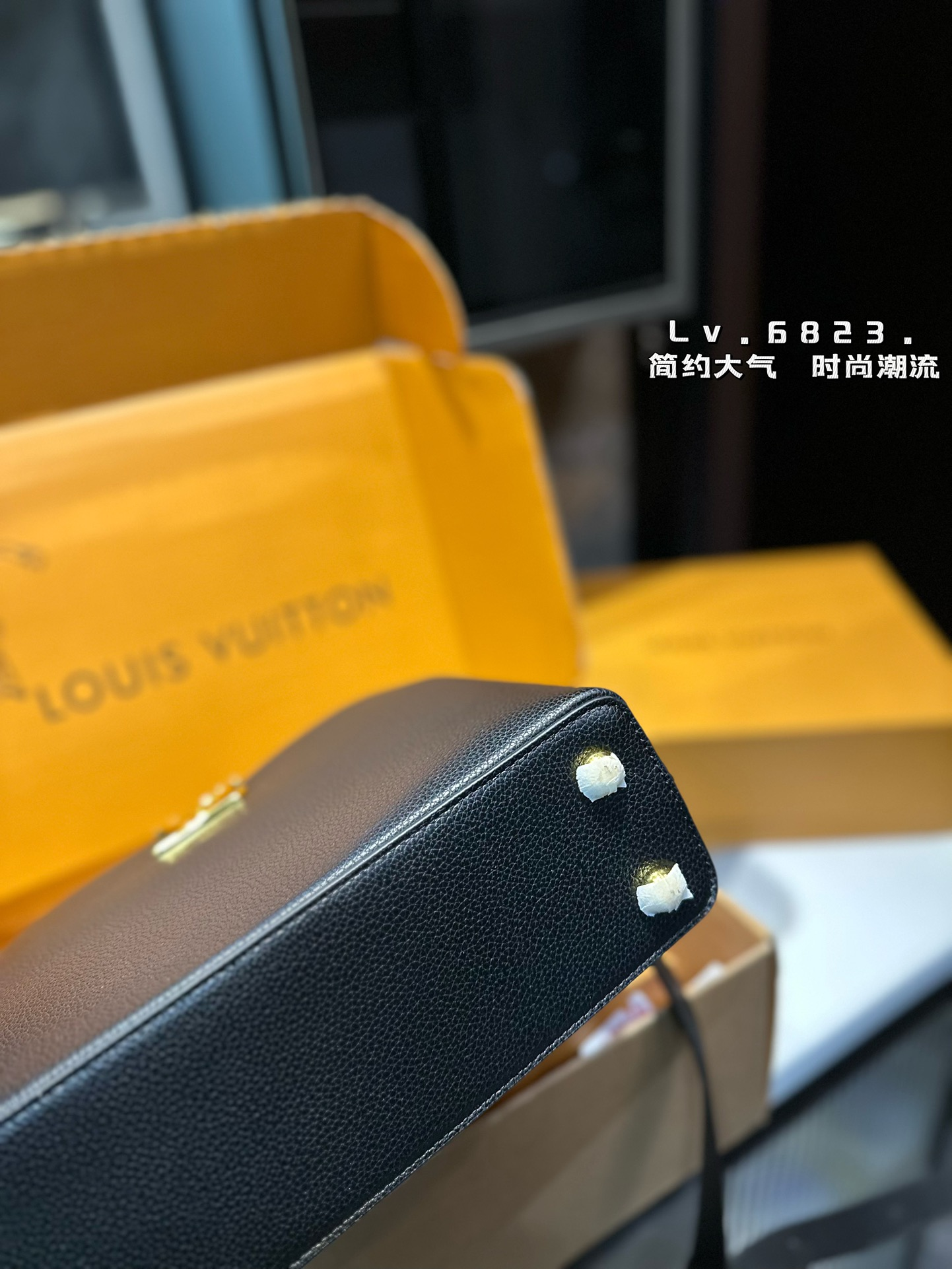 louis-new-arrival-capucines-monogram-bag-7074