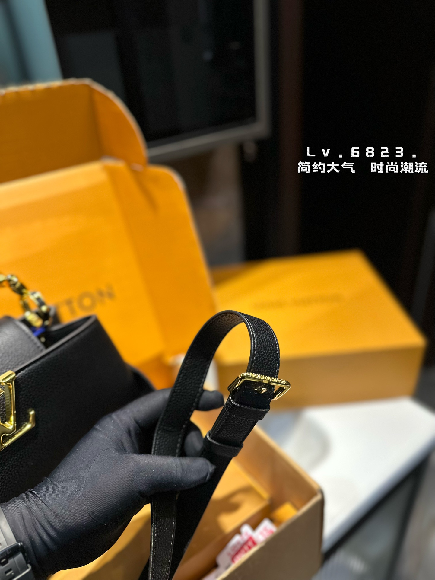 louis-new-arrival-capucines-monogram-bag-7074