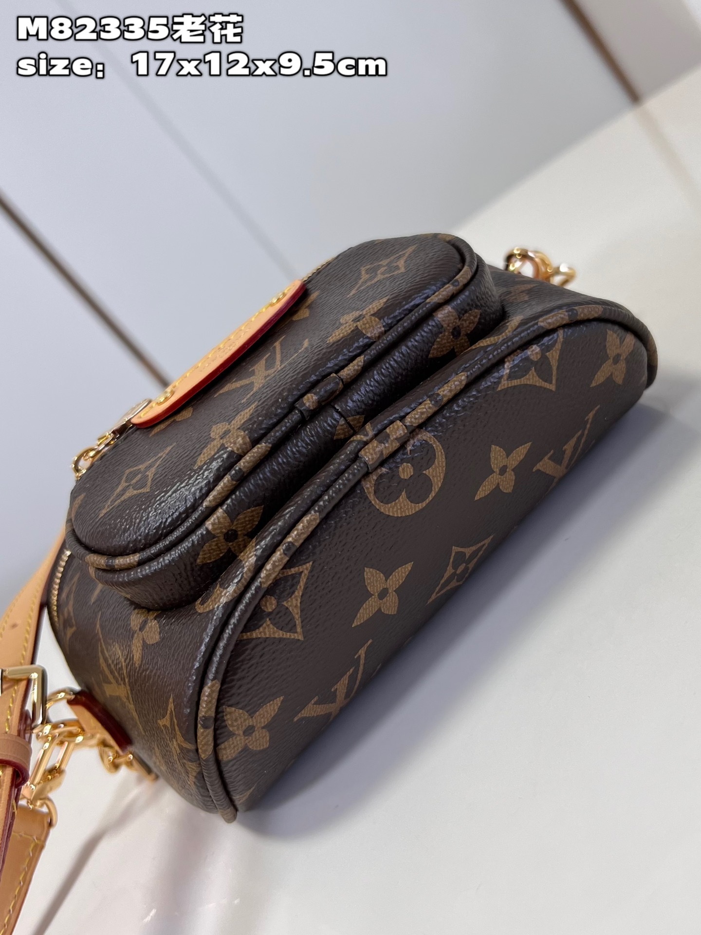 L Mini Bumbag Monogram